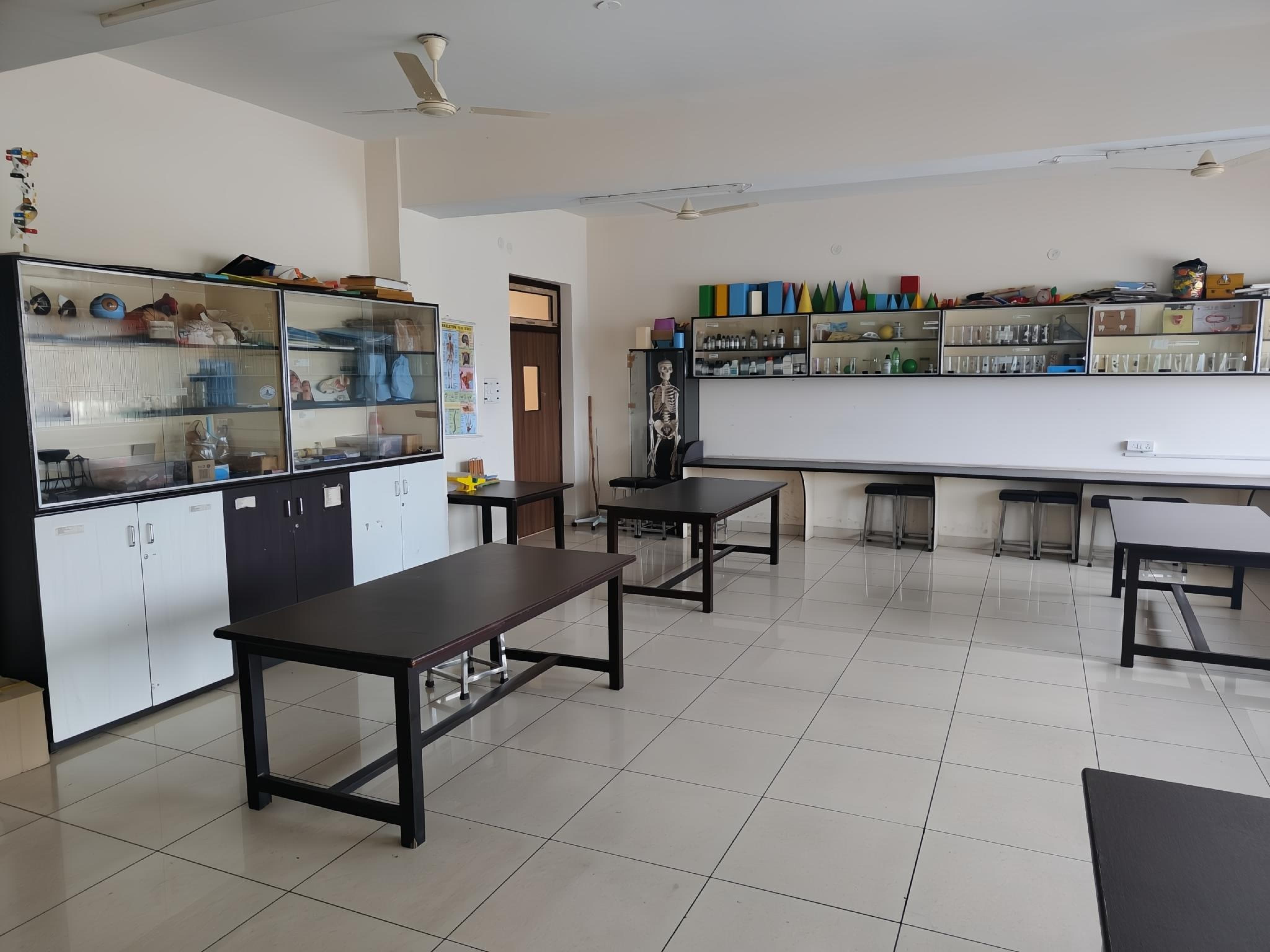 lab