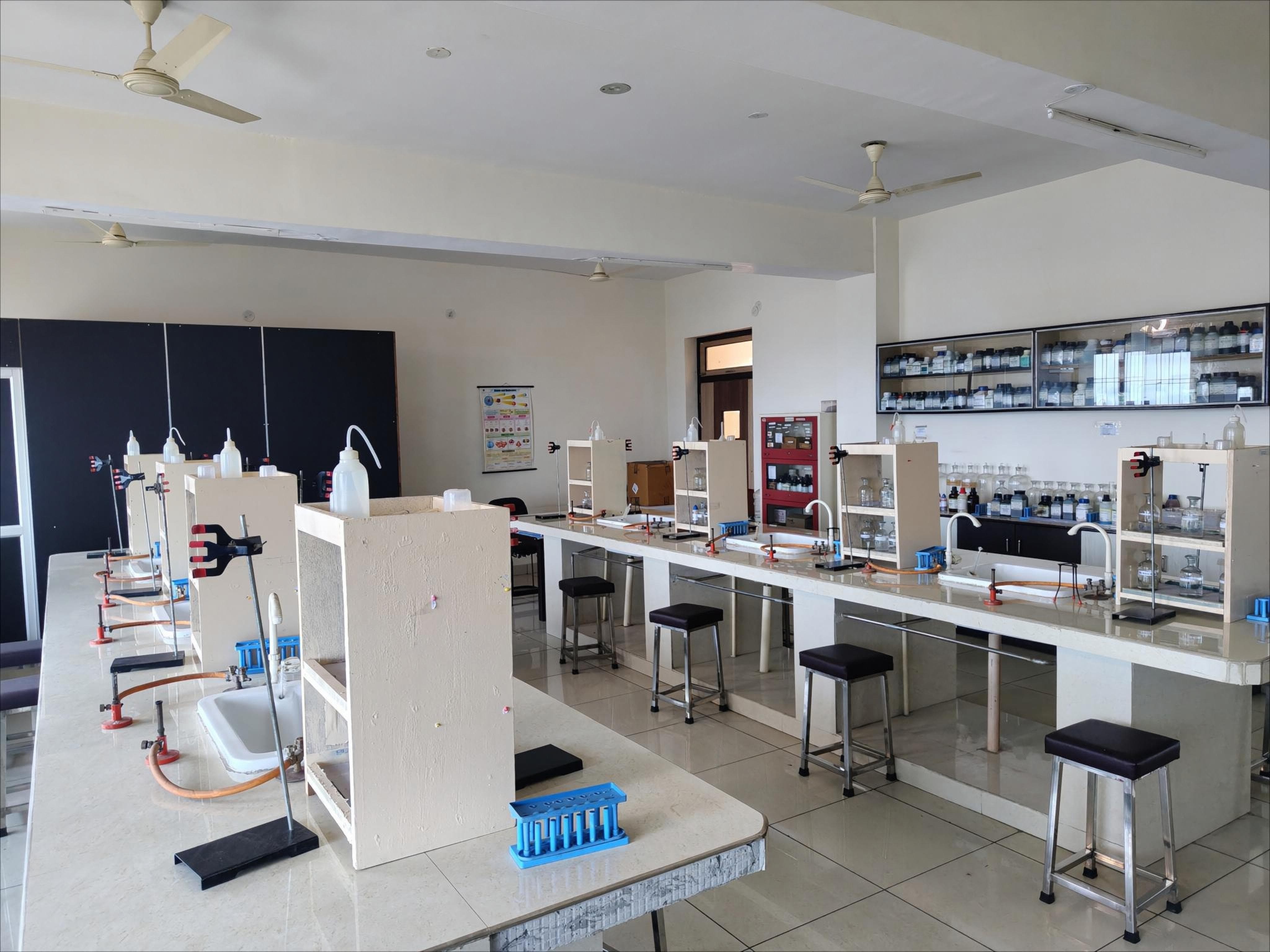 lab